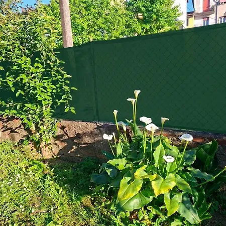 Il Melo Apartament La Spezia